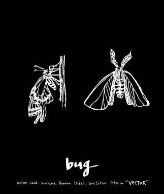 Resimde hata / çizilmiş böcek kroki el