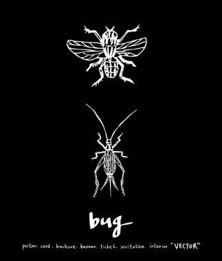 Resimde hata / çizilmiş böcek kroki el