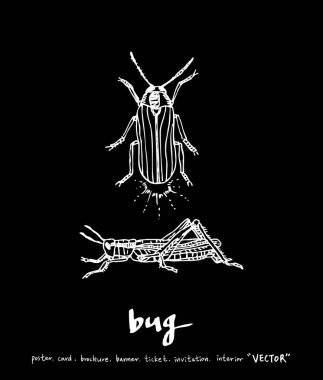 Resimde hata / çizilmiş böcek kroki el