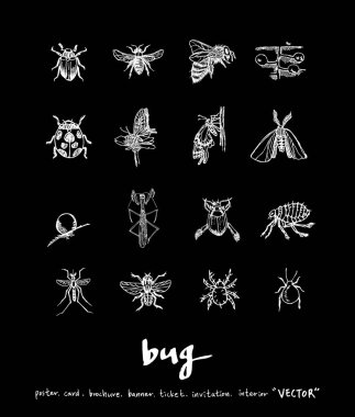 Resimde hata / çizilmiş böcek kroki el