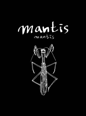 Resimde hata / çizilmiş böcek kroki el