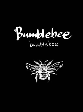 Resimde hata / çizilmiş böcek kroki el