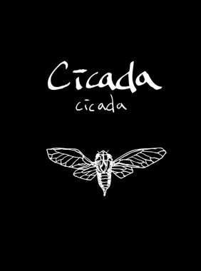 Resimde hata / çizilmiş böcek kroki el