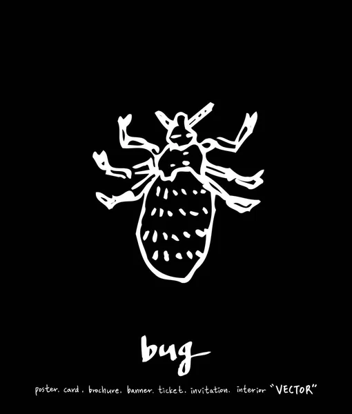 Illustration Bug Croquis Dessiné Main — Image vectorielle