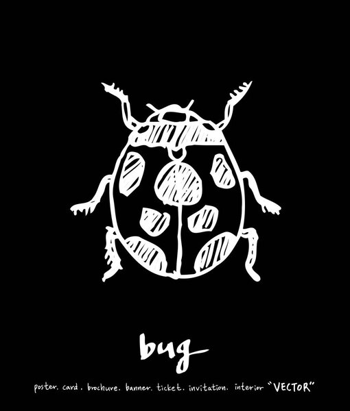 Bug illustration / Hand drawn insect sketch