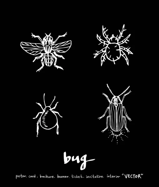 Illustration Bug Croquis Dessiné Main — Image vectorielle