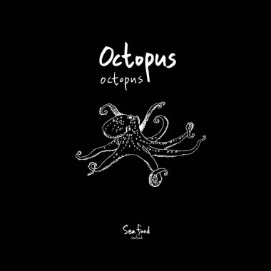 Deniz gıda menü çizimler / el çekilmiş gıda maddeleri - vektör