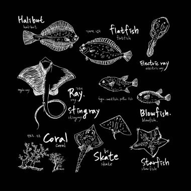 Sea food menu illustrations / Hand drawn food ingredients - vector clipart