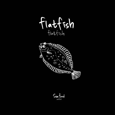 Deniz Mahsülleri kroki / çizilmiş gıda el malzemeler - vektör