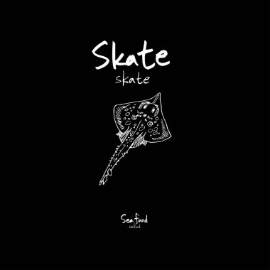 Deniz Mahsülleri kroki / çizilmiş gıda el malzemeler - vektör