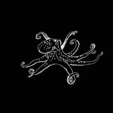 Deniz Mahsülleri kroki / çizilmiş gıda el malzemeler - vektör