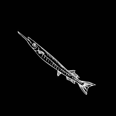 Deniz Mahsülleri kroki / çizilmiş gıda el malzemeler - vektör