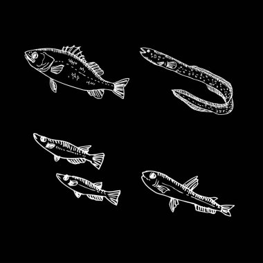 Deniz Mahsülleri kroki / çizilmiş gıda el malzemeler - vektör