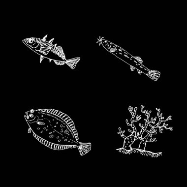 Deniz Mahsülleri kroki / çizilmiş gıda el malzemeler - vektör