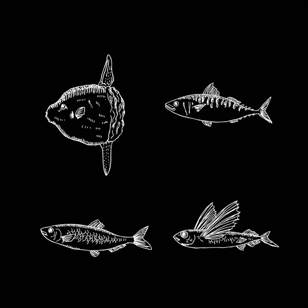 海の食べ物をスケッチ 描かれた食品を手材料 ベクトル — ストックベクタ