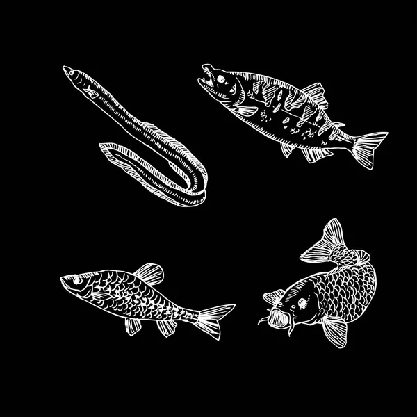 Ескіз Морської Їжі Ручна Намальована Їжа Інгредієнти Вектор — стоковий вектор
