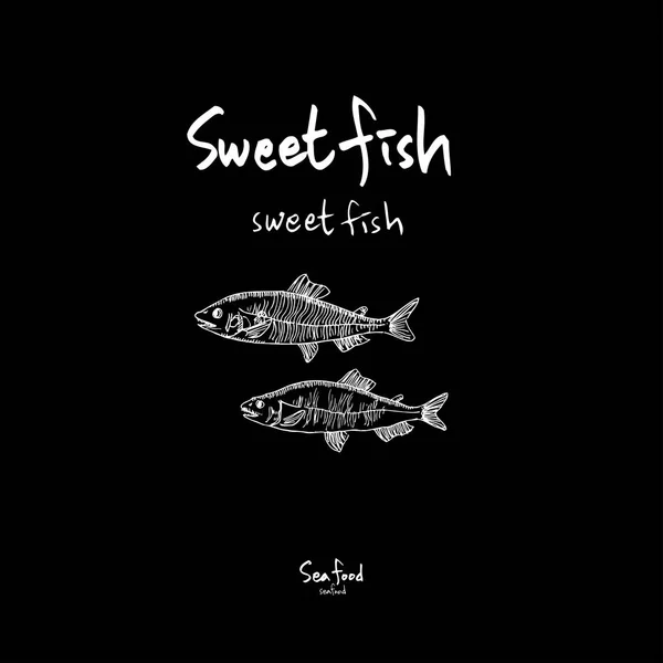 Sea food sketch / Hand drawn food ingredients - vector — Stock Illustration Sea Food Sketch Hand Drawn Food Ingredients Vector Stock Vector