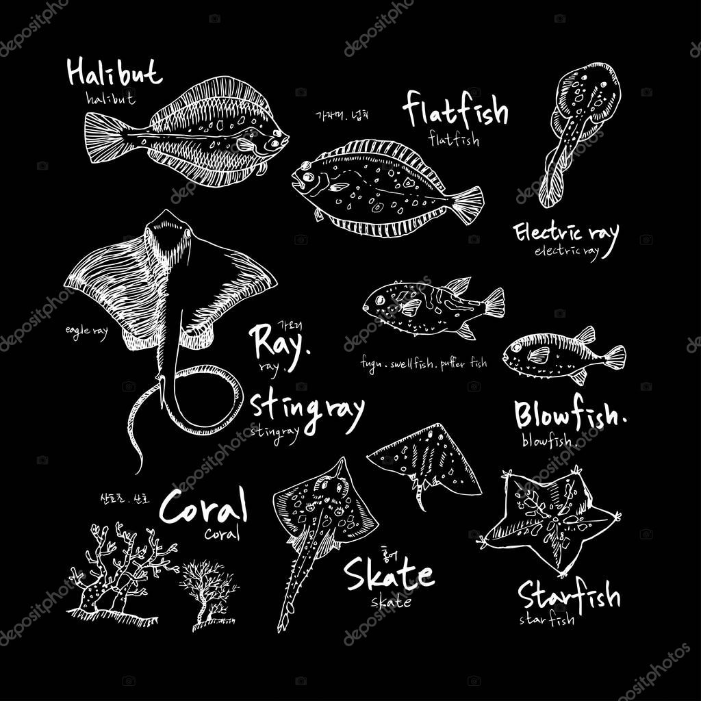 Sea food menu illustrations / Hand drawn food ingredients - vector