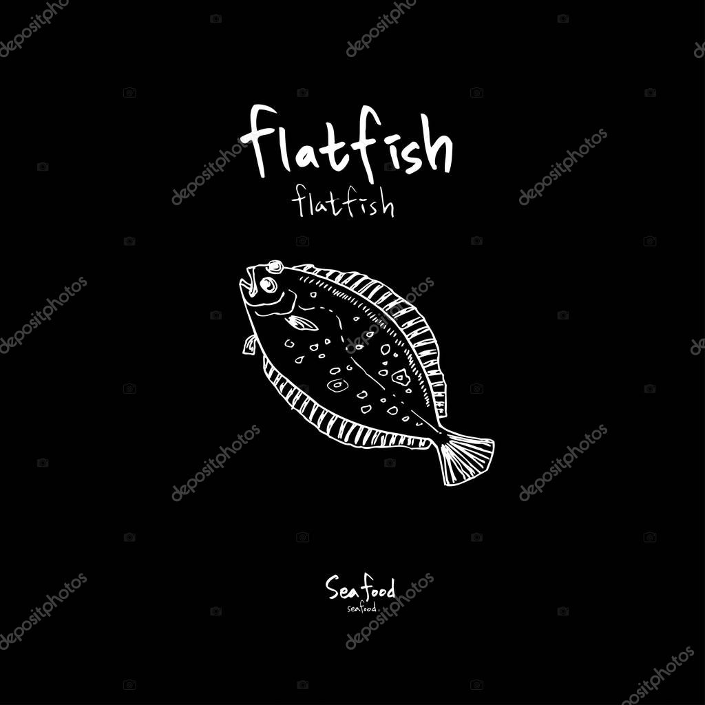 Sea food sketch / Hand drawn food ingredients - vector