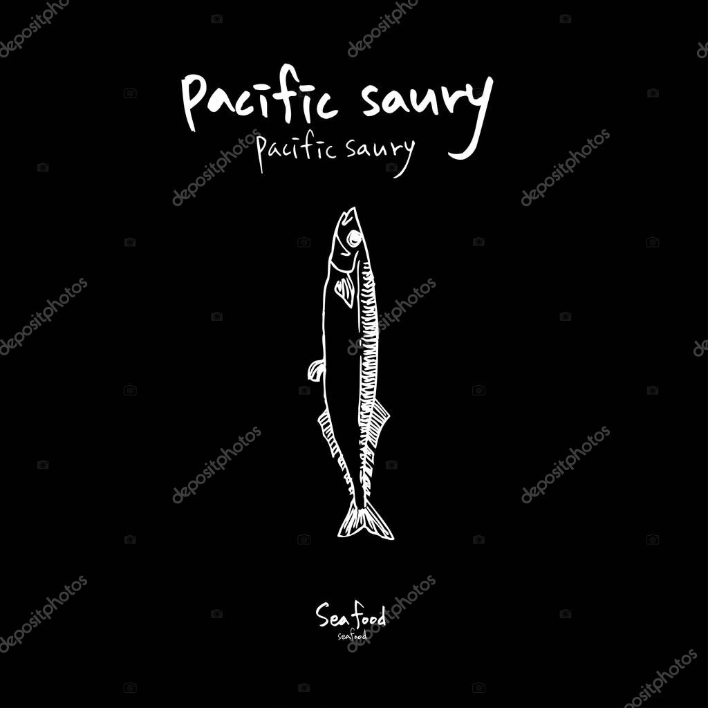 Sea food sketch / Hand drawn food ingredients - vector