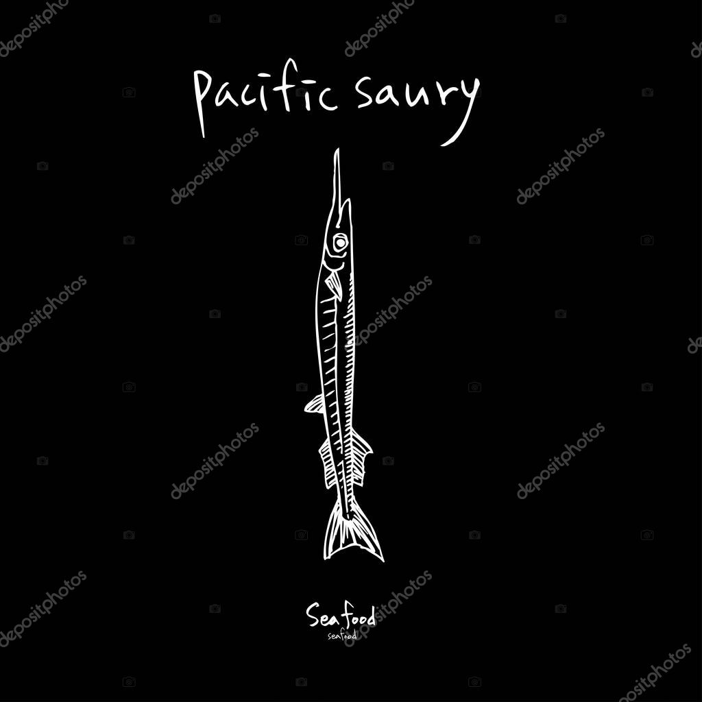 Sea food sketch / Hand drawn food ingredients - vector