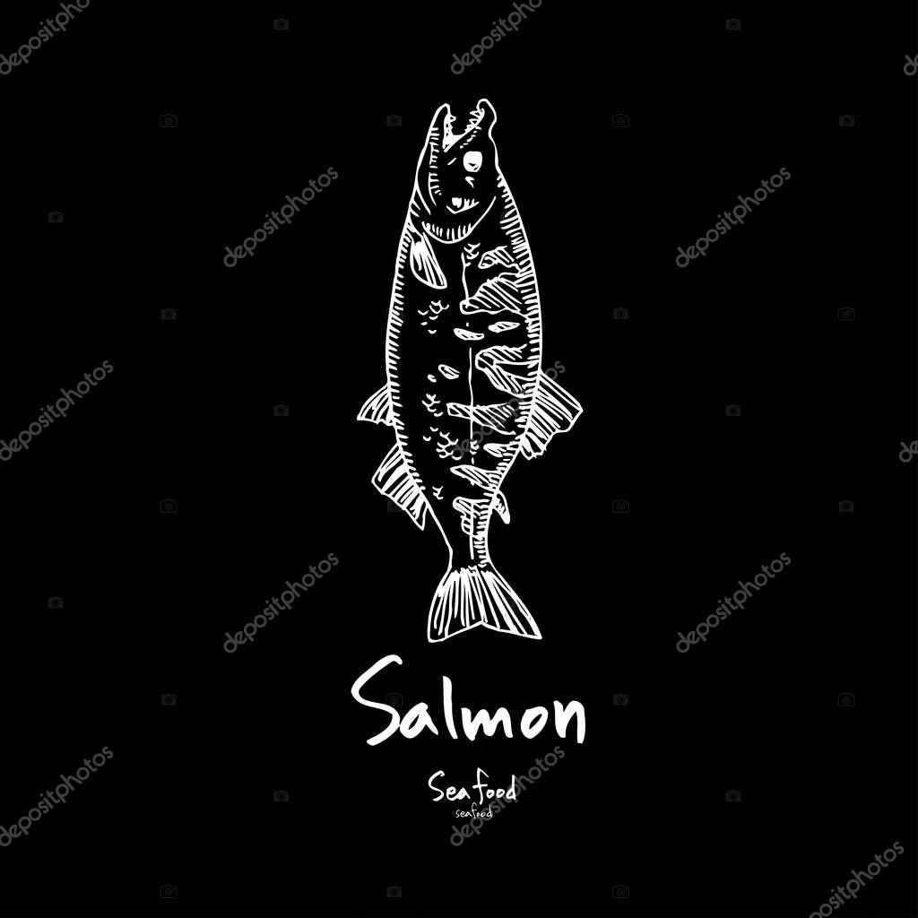 Sea food sketch / Hand drawn food ingredients - vector