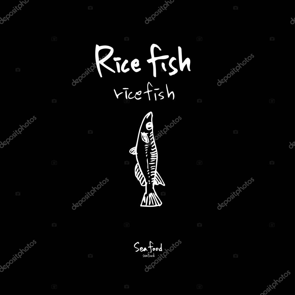 Sea food sketch / Hand drawn food ingredients - vector
