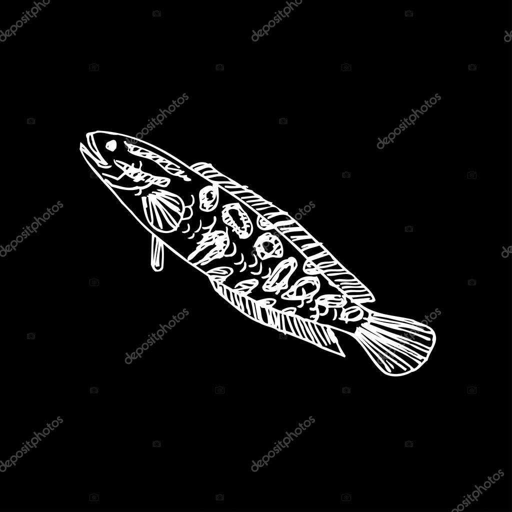 Sea food sketch / Hand drawn food ingredients - vector