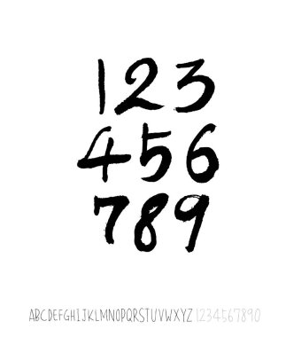vektör yazı tipleri / el yazısı kaligrafi