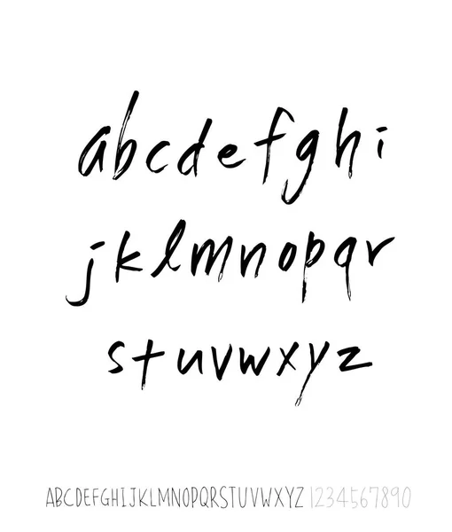 Vector Fonts Handwritten Calligraphy — Stock Vector