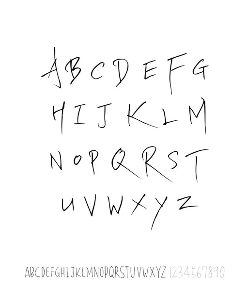 Vector Fonts Handwritten Calligraphy — Stock Vector