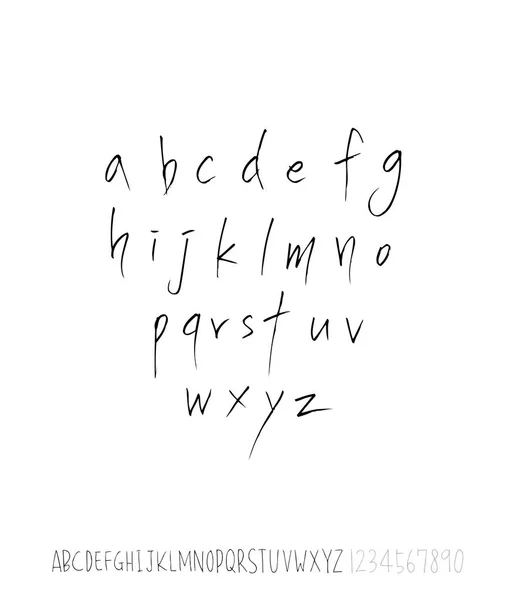 Векторні Шрифти Ручна Каліграфія — стоковий вектор