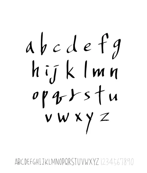 Vector Fonts Handwritten Calligraphy — Stock Vector