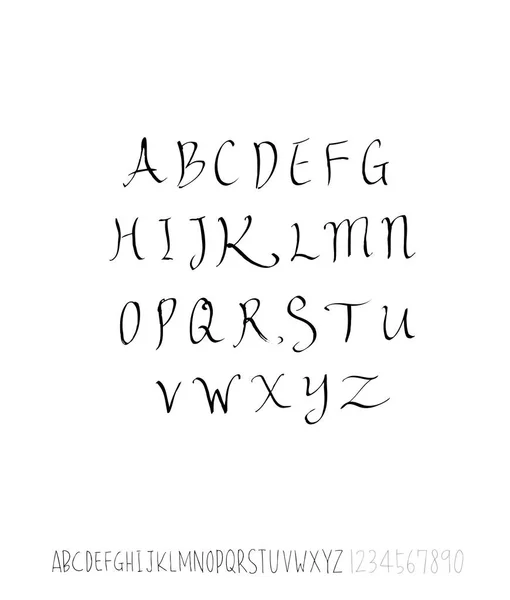 Vector Fonts Handwritten Calligraphy — Stock Vector