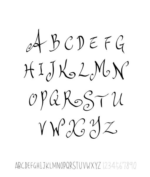 Vector Fonts Handwritten Calligraphy — Stock Vector