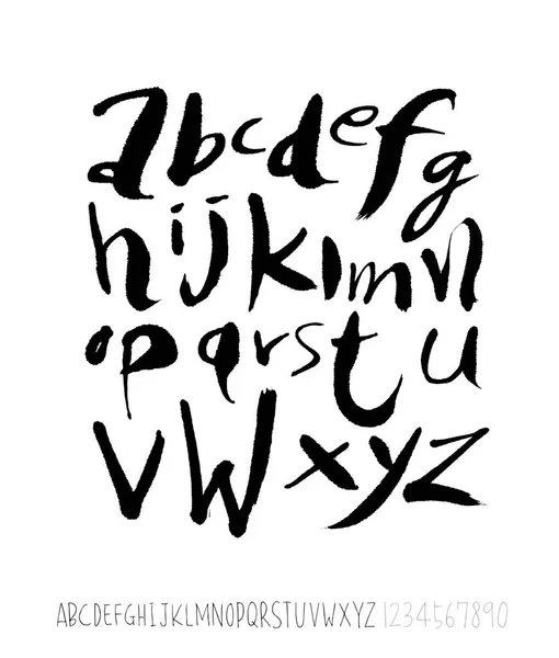 Vector Fonts Handwritten Calligraphy — Stock Vector