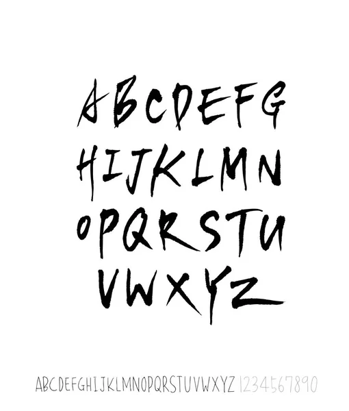 Векторні Шрифти Ручна Каліграфія — стоковий вектор