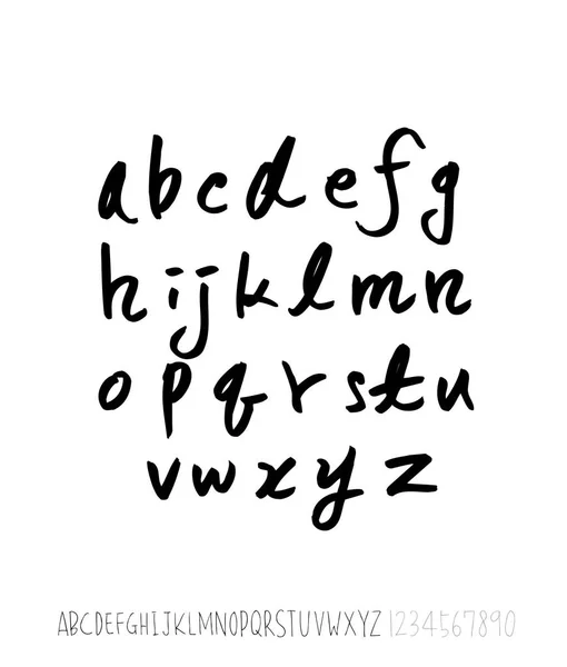 Vector Fonts Handwritten Calligraphy — Stock Vector