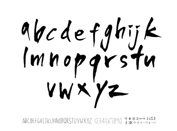 Vector Fonts Handwritten Calligraphy — Stock Vector