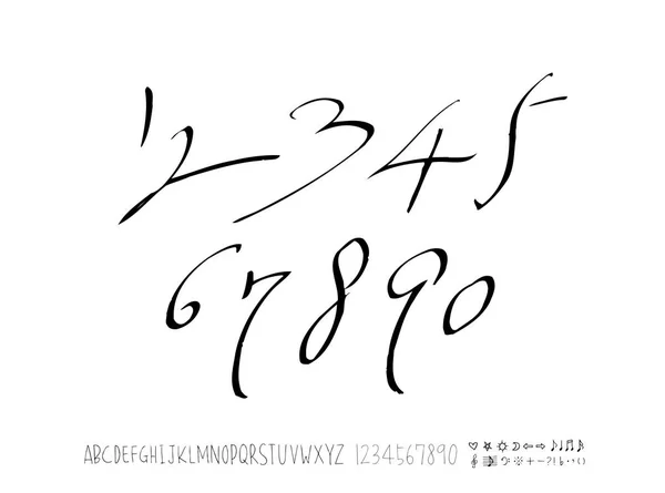 Vector Fonts Handwritten Calligraphy — Stock Vector