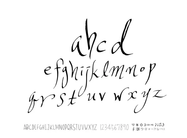 Vector Fonts Handwritten Calligraphy — Stock Vector