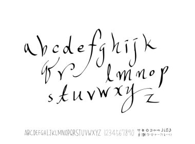 vektör yazı tipleri / el yazısı kaligrafi