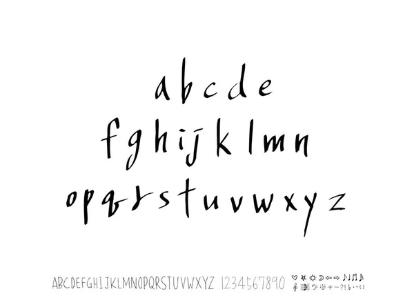 Vector Fonts Handwritten Calligraphy — Stock Vector