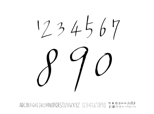 Vector Fonts Handwritten Calligraphy — Stock Vector