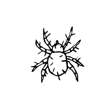 Bug sketch / Hand drawn insect illustration - vector clipart