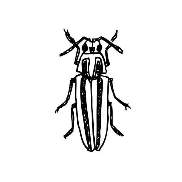 Ескіз Вади Ілюстрація Намальованої Рукою Комахи Вектор — стоковий вектор
