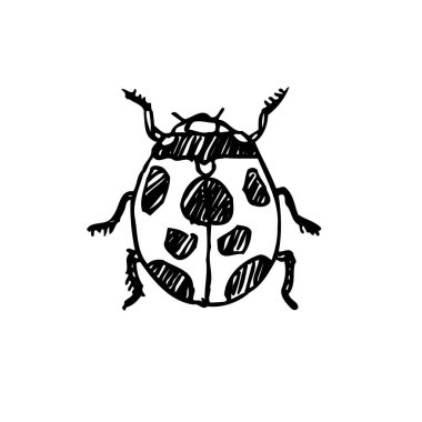 Kroki hata / çizilmiş böcek illüstrasyon el - vektör