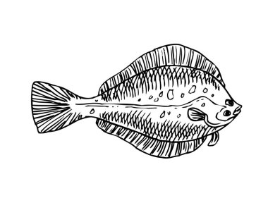 El çekilmiş gıda maddeleri - deniz gıda menü resimleri - vektör