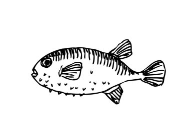 El çekilmiş gıda maddeleri - deniz gıda menü resimleri - vektör