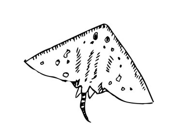 El çekilmiş gıda maddeleri - deniz gıda menü resimleri - vektör